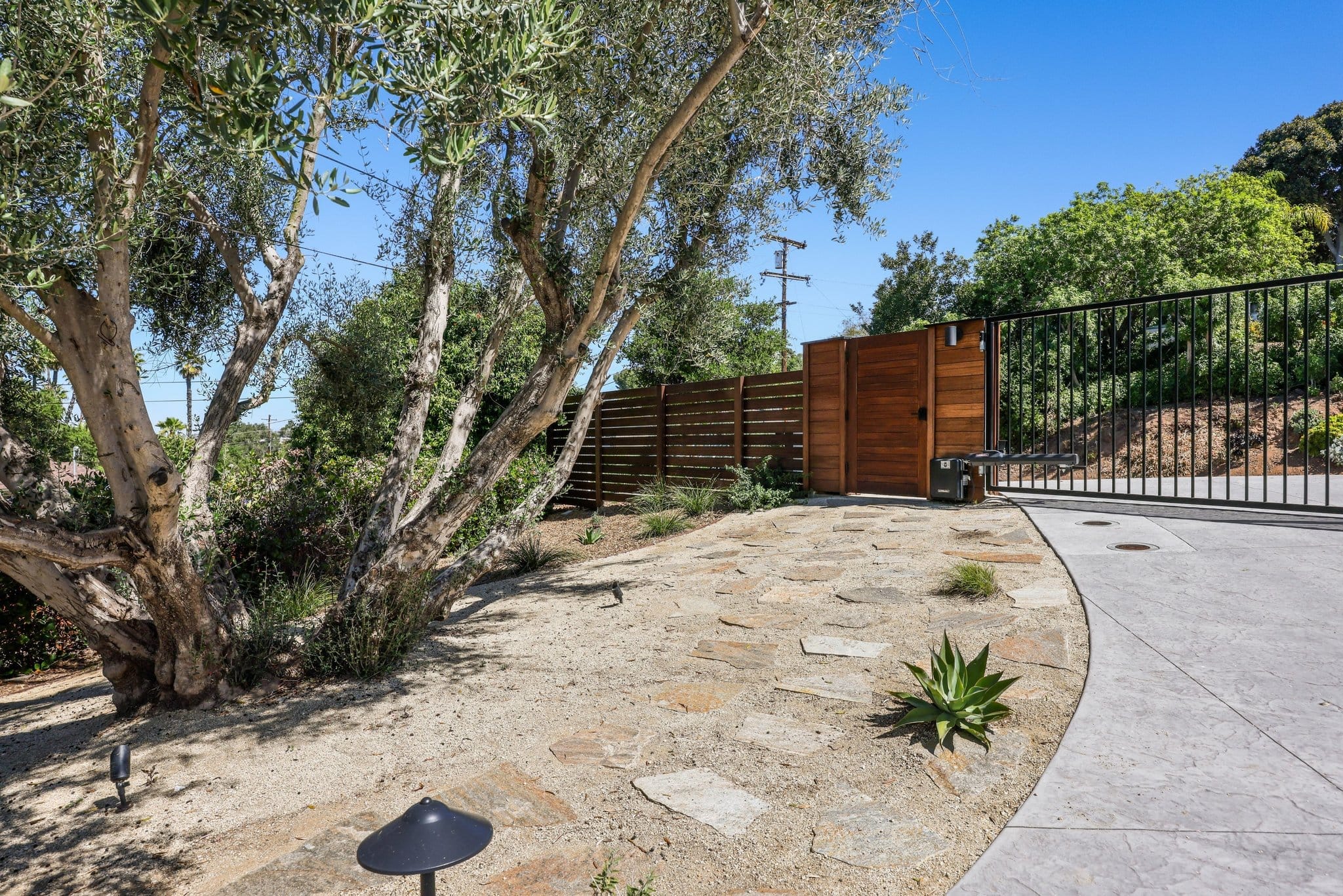landscaped yard with flagstone path, olive tree and horizontal wood privacy gate