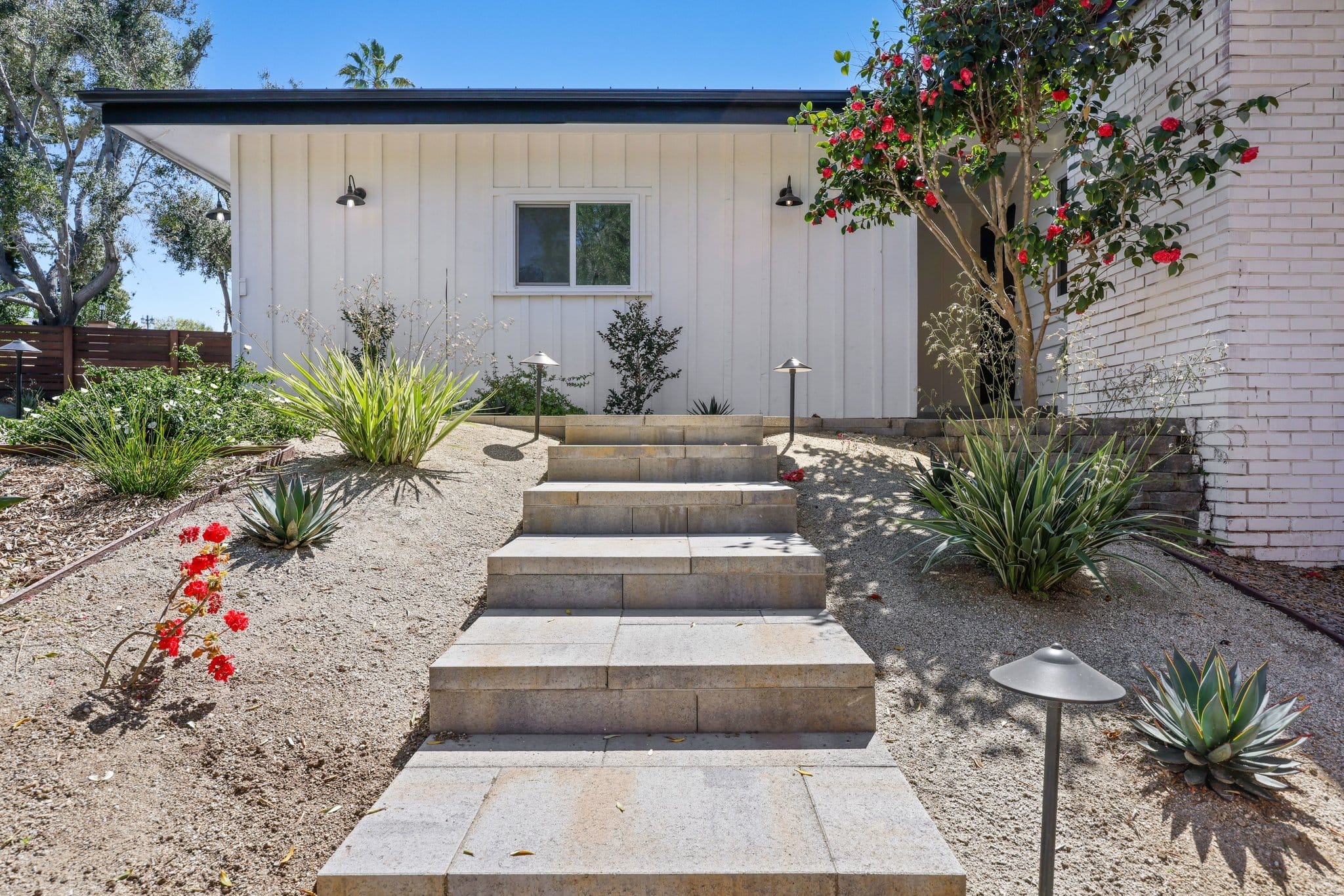 white board-and-batten exterior with concrete steps and drought-tolerant agave landscaping