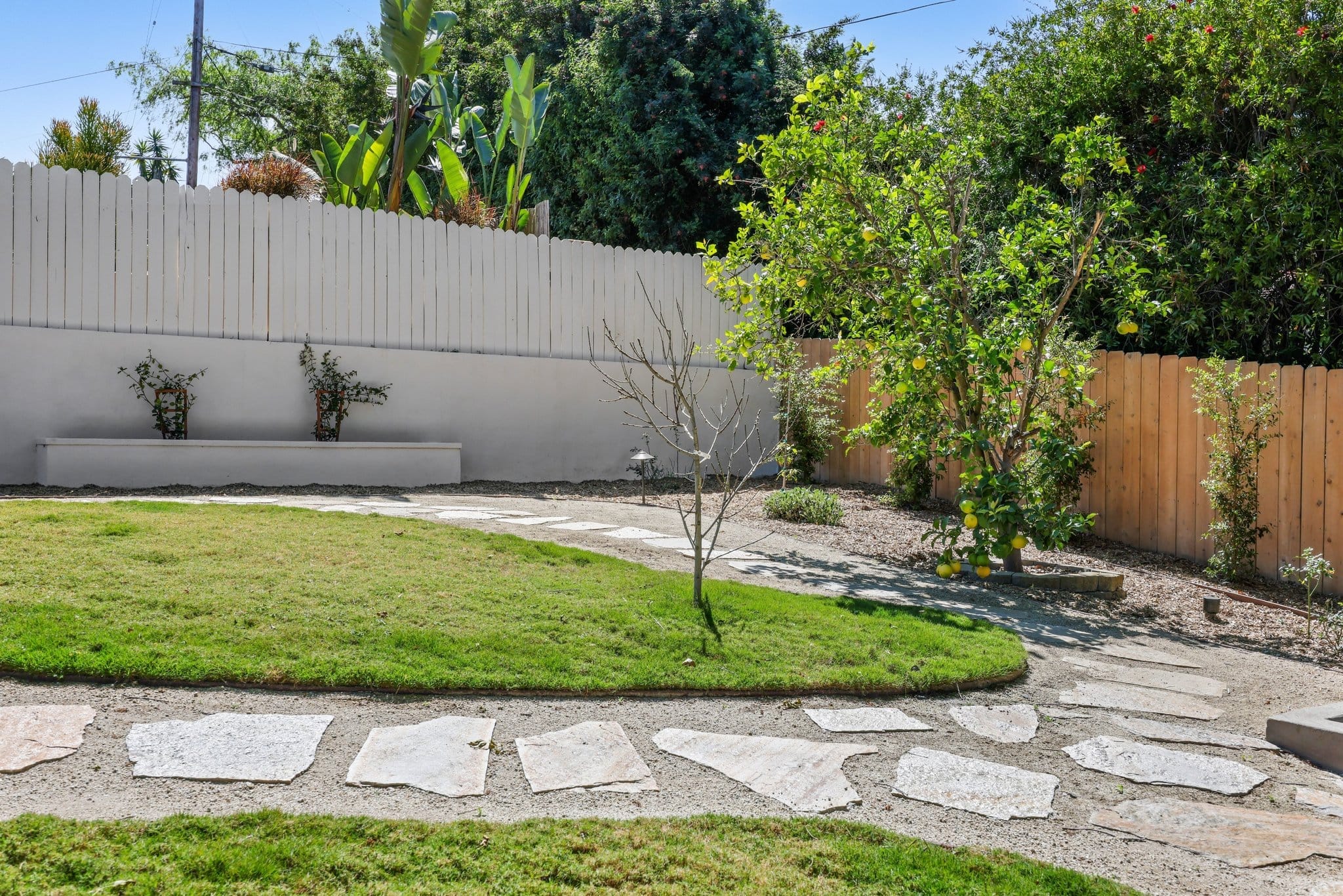 Landscaped backyard with flagstone path, stucco planter wall, lawn and citrus trees