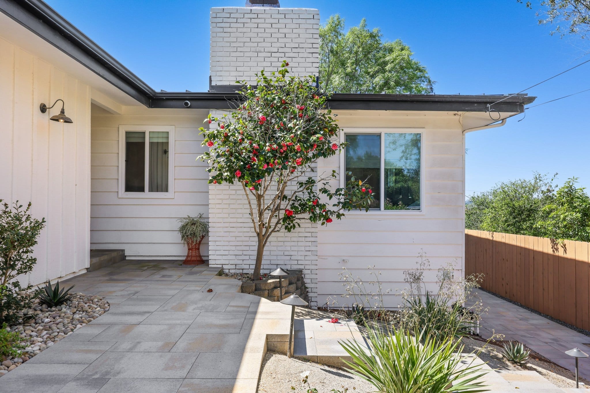 Courtyard with white brick chimney, blooming camellia tree and pavers patio