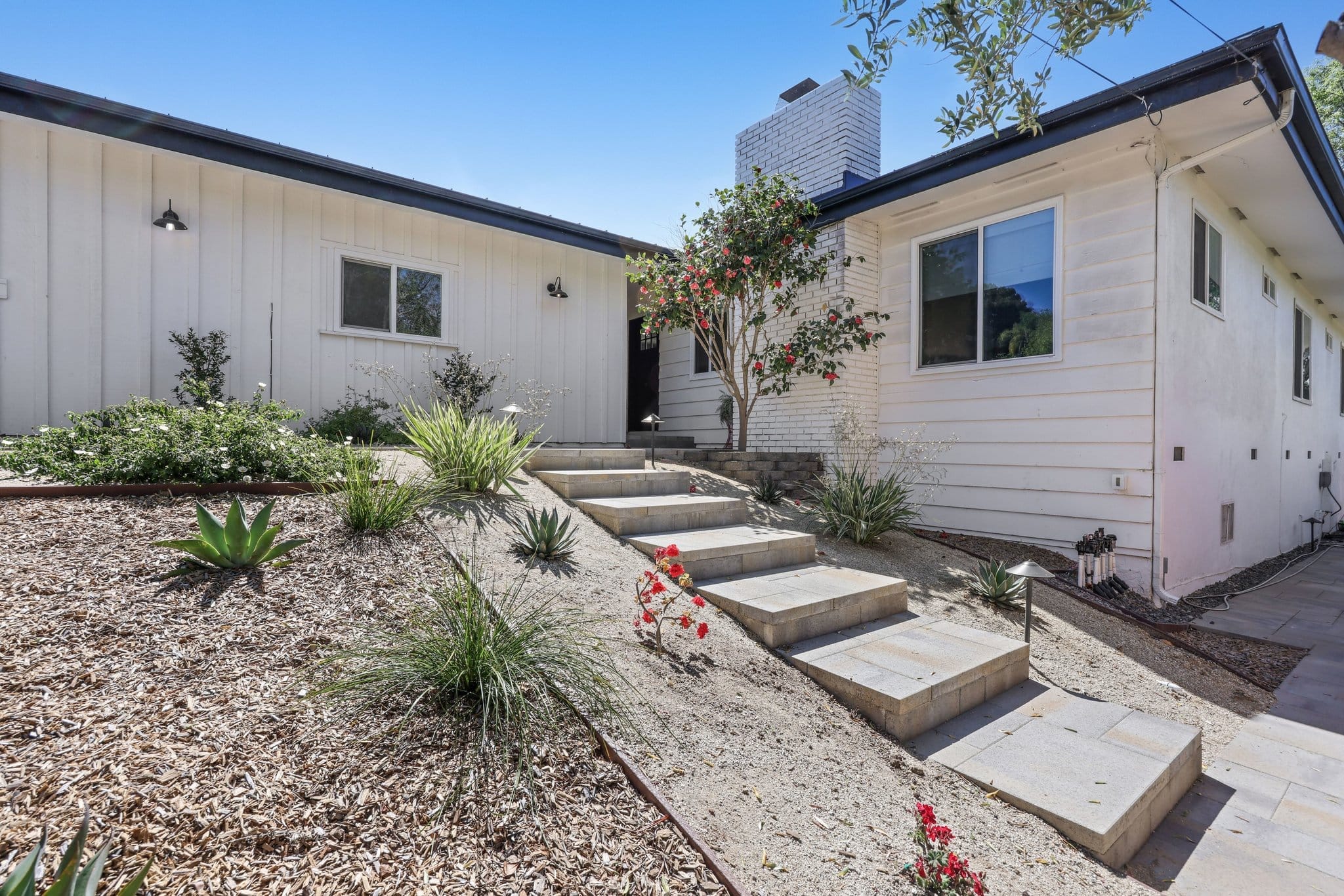 Drought-tolerant front yard with concrete step path, agaves and white siding home