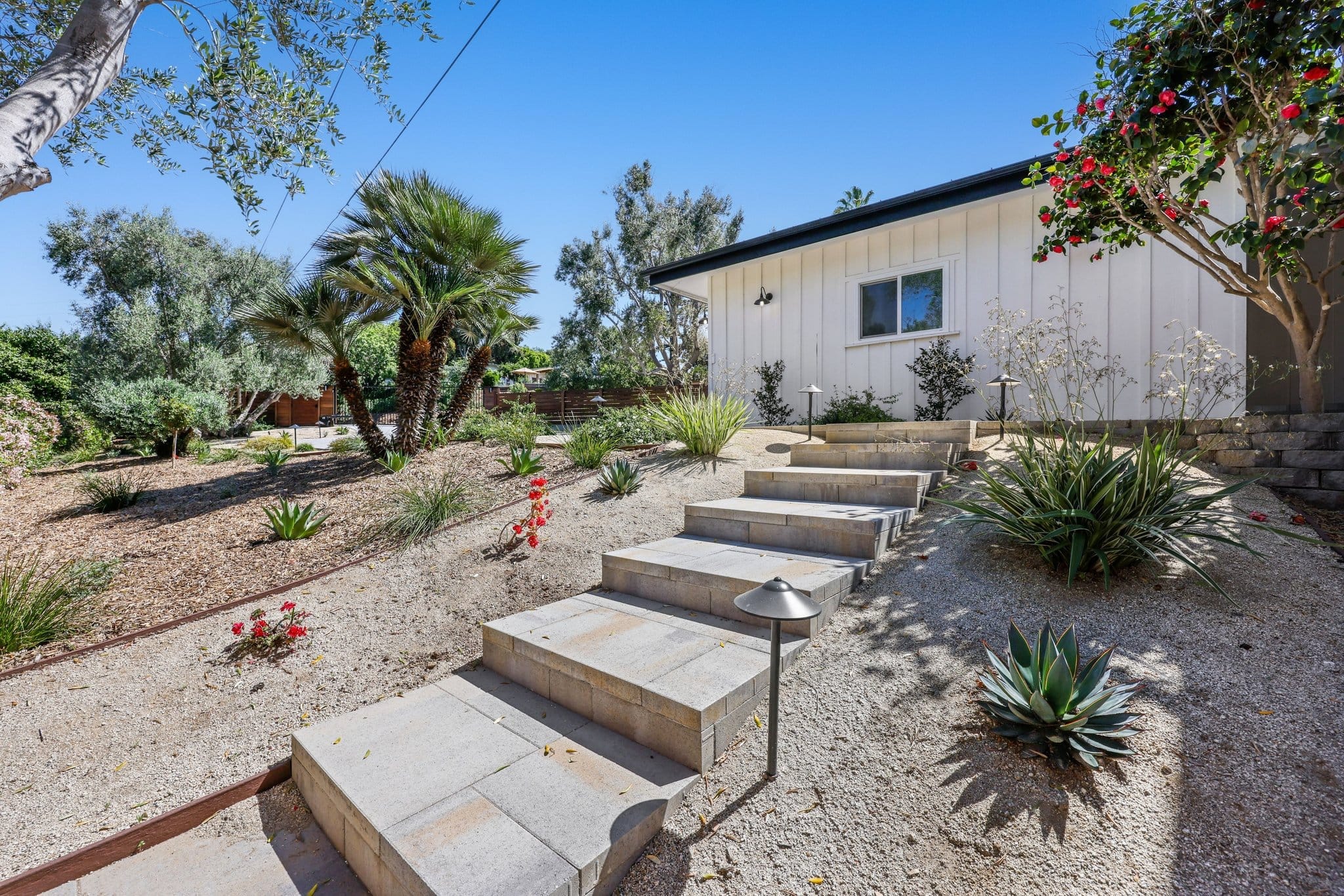 Xeriscaped yard with concrete steps, palms, agave and gravel ground cover