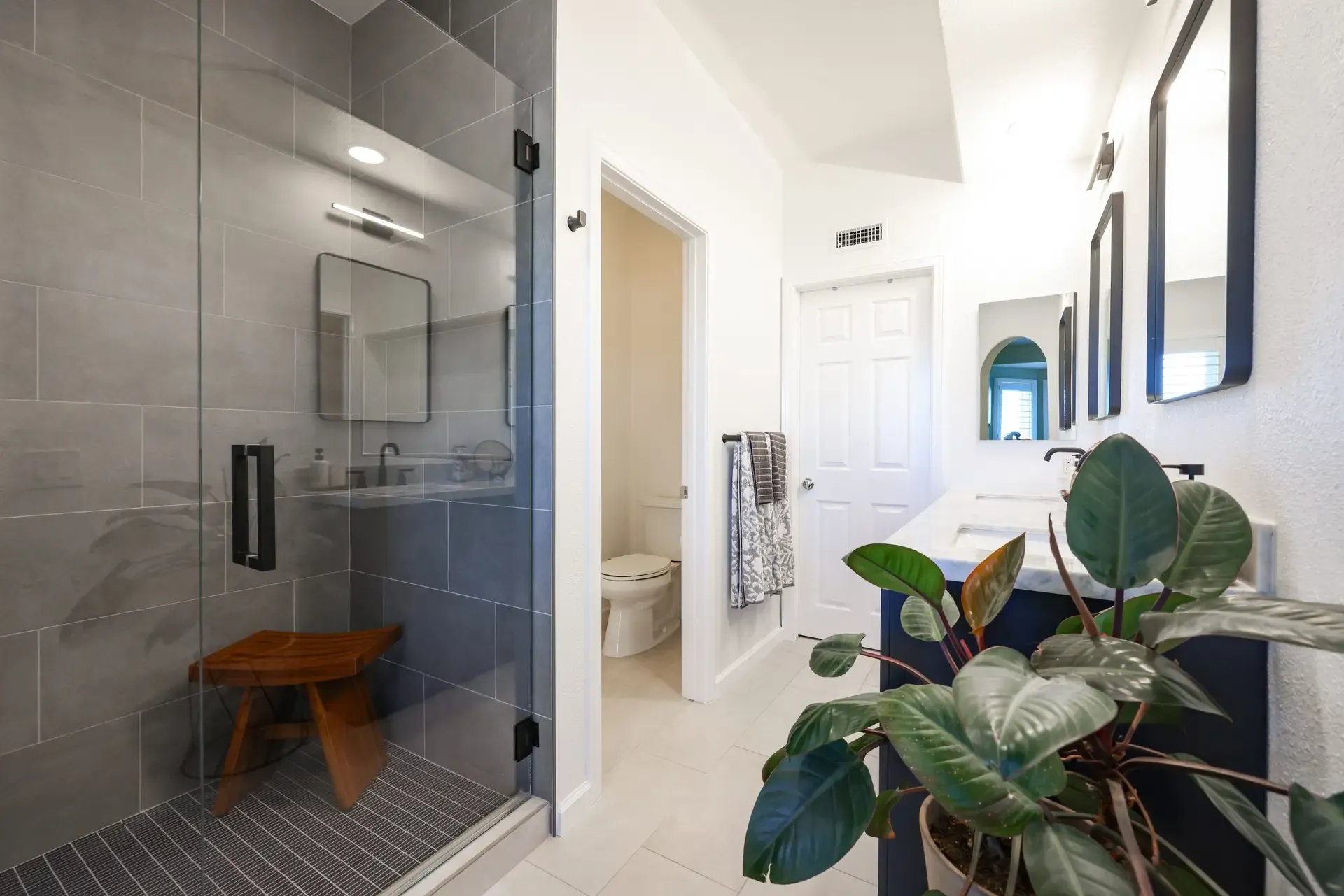 Spacious bathroom with glass shower, gray tile, and large potted plant